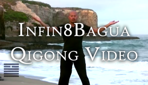 Infin8Bagua Qigong Video