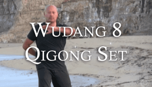 Wudang 8 Qigong Set Video