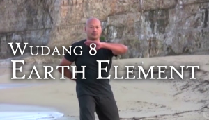 Wudang 8 Earth Element