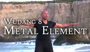 Wudang 8 Metal Element