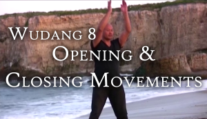 Wudang 8 Opening and Closing Movements