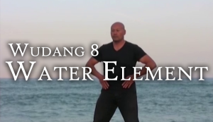 Wudang 8 Water Element