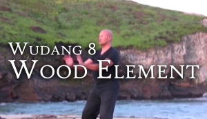 Wudang 8 Wood Element